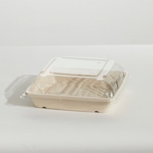 CLEAR LID TO SUIT SMALL SUGARCANE PLATTER CTN 100