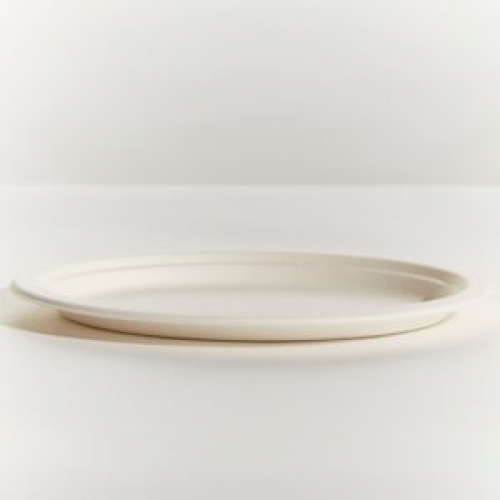 Sugarcane 10x8.5" Oval Plate - Plain White CTN 500