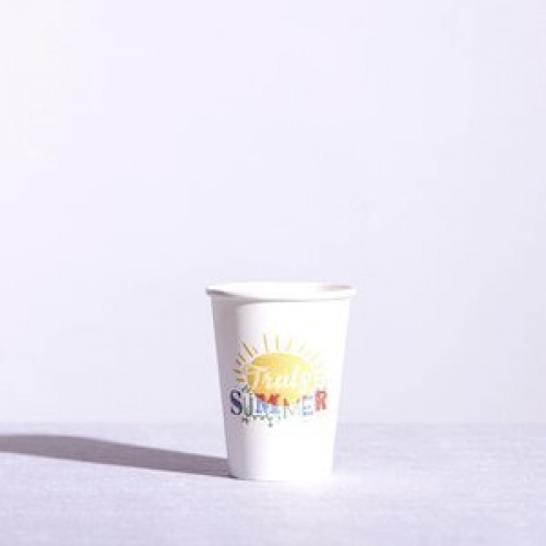 12oz Truly Summer Paper Cold Cup CTN 1000